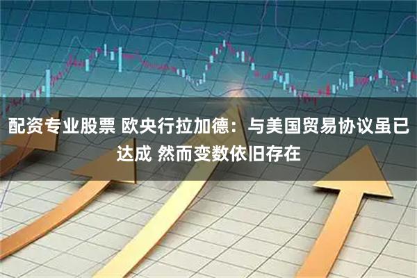 配资专业股票 欧央行拉加德：与美国贸易协议虽已达成 然而变数依旧存在