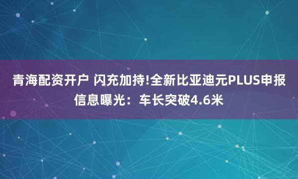 青海配资开户 闪充加持!全新比亚迪元PLUS申报信息曝光：车长突破4.6米