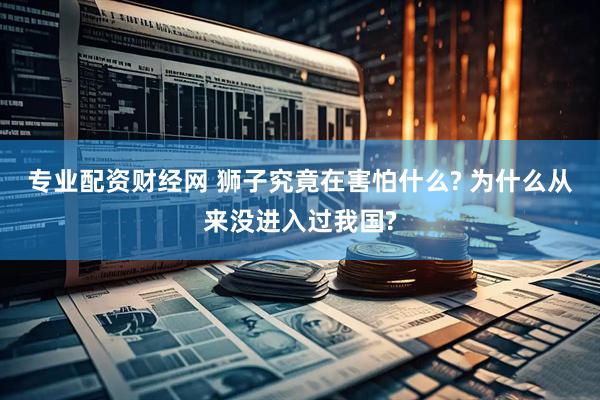 专业配资财经网 狮子究竟在害怕什么? 为什么从来没进入过我国?
